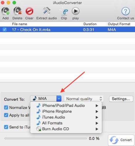 iaudioconverter