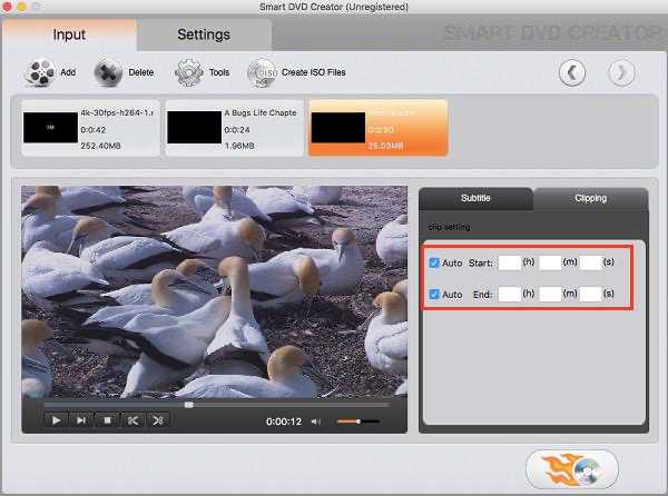 mac dvd creator