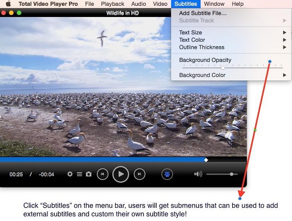 mac video player