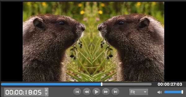 How to Create a Mirror Effect Video for Free